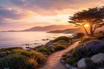Dream About Carmel – Meaning & Symbolism
